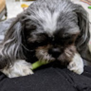 Meet your Posher, Sharon